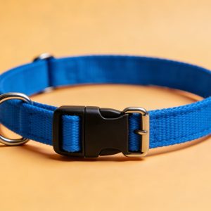 宠物狗项圈